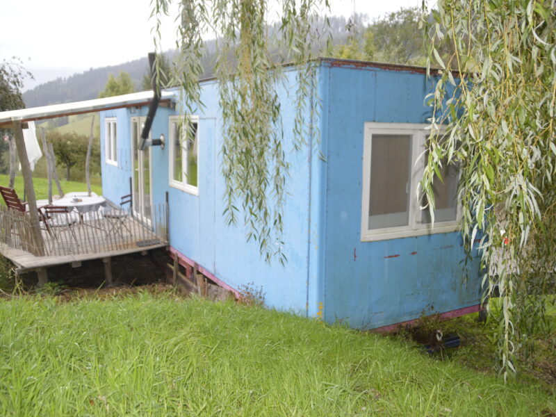 Tinyhouse / ehemaliger alter Zirkuswagen