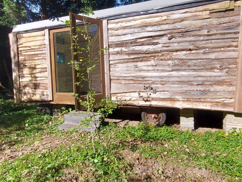Einzigartige Wohnträume -6- meter-Yurt & Tiny House auf rädern zu verkaufen! (Combinations verkauf)