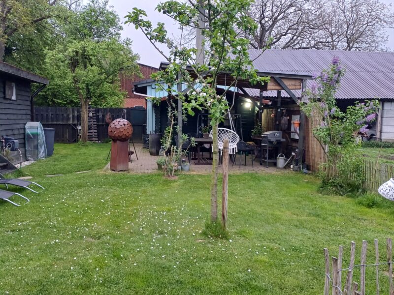 Tinyhouse mit Grundstück