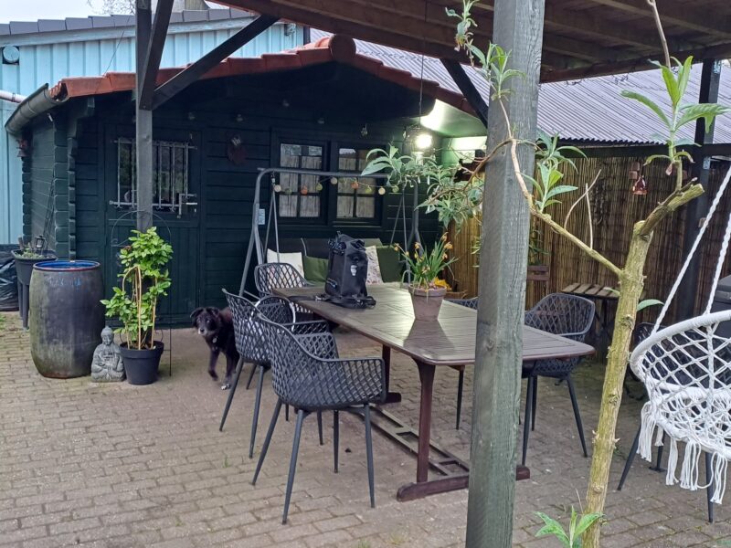 Tinyhouse mit Grundstück