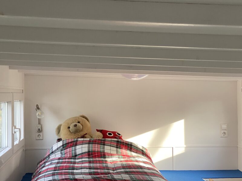 Mobiles Tinyhaus im Schwedenstil