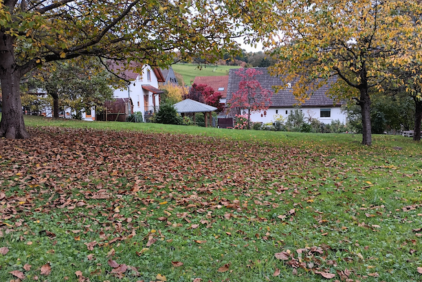 Drei Parzellen auf Baugrundstück Nähe Pforzheim