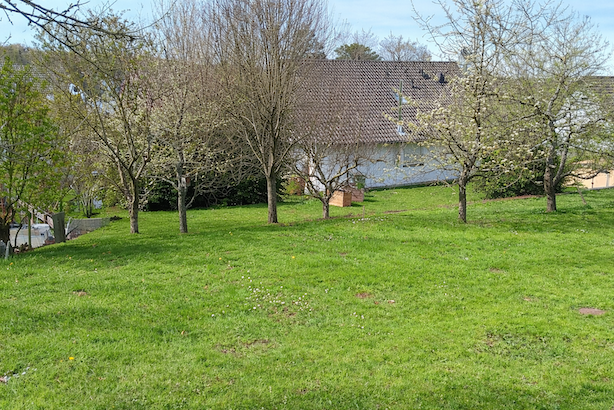 Drei Parzellen auf Baugrundstück Nähe Pforzheim