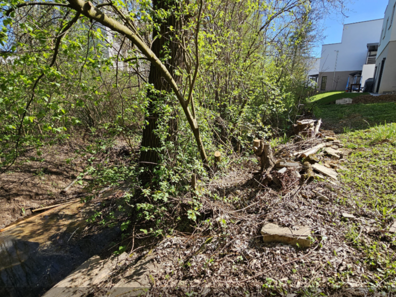 Baugrundstück mit 226 m² in Reichenbach/Fils zu verkaufen