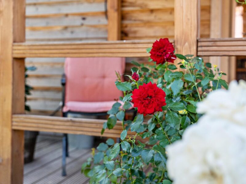 Nachhaltiges Tiny House von Reset Haus | Baujahr 2022 | Voll ausgestattet | 17 m²